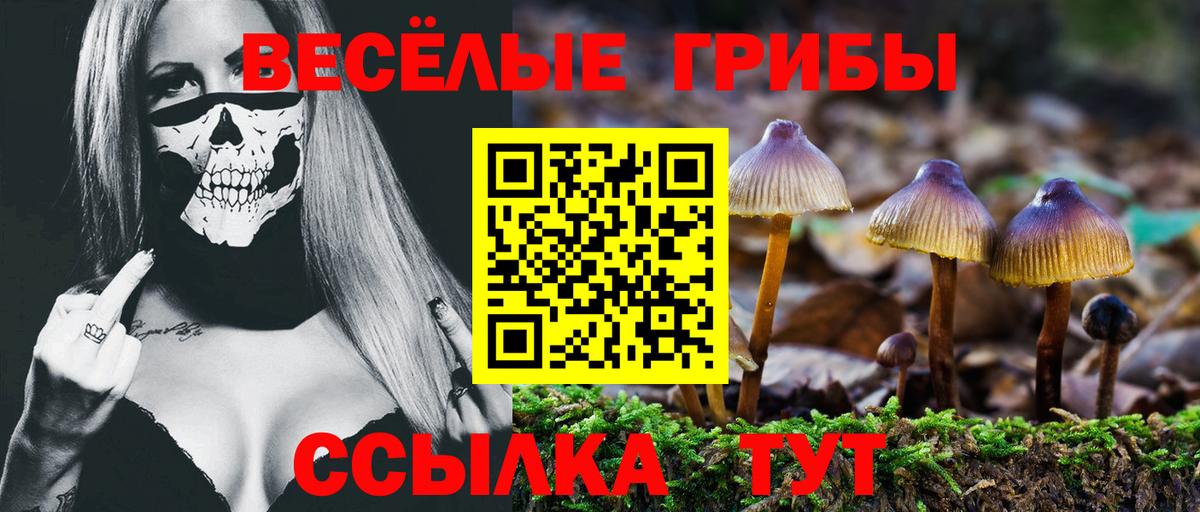 Галлюциногенные грибы MAGIC MUSHROOMS  Вход с VPN  Москва  Галлюциногенные грибы Magic Shrooms 